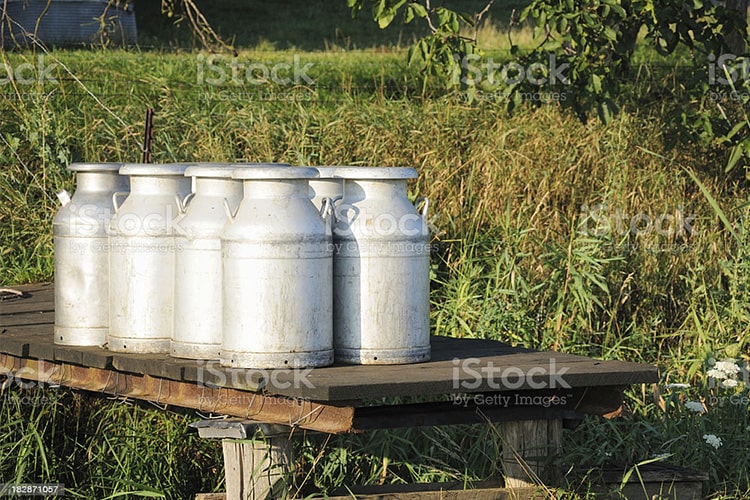 fresh_milk_from_bhartmilk_distributed_with_care fresh_milk_from_bhartmilk