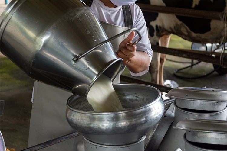 milk_procurement_bharatmilk_factory milk_procurement_bharatmilk